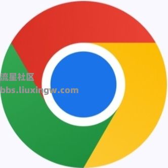 Chrome谷歌浏览器v133.0.69，必备浏览器