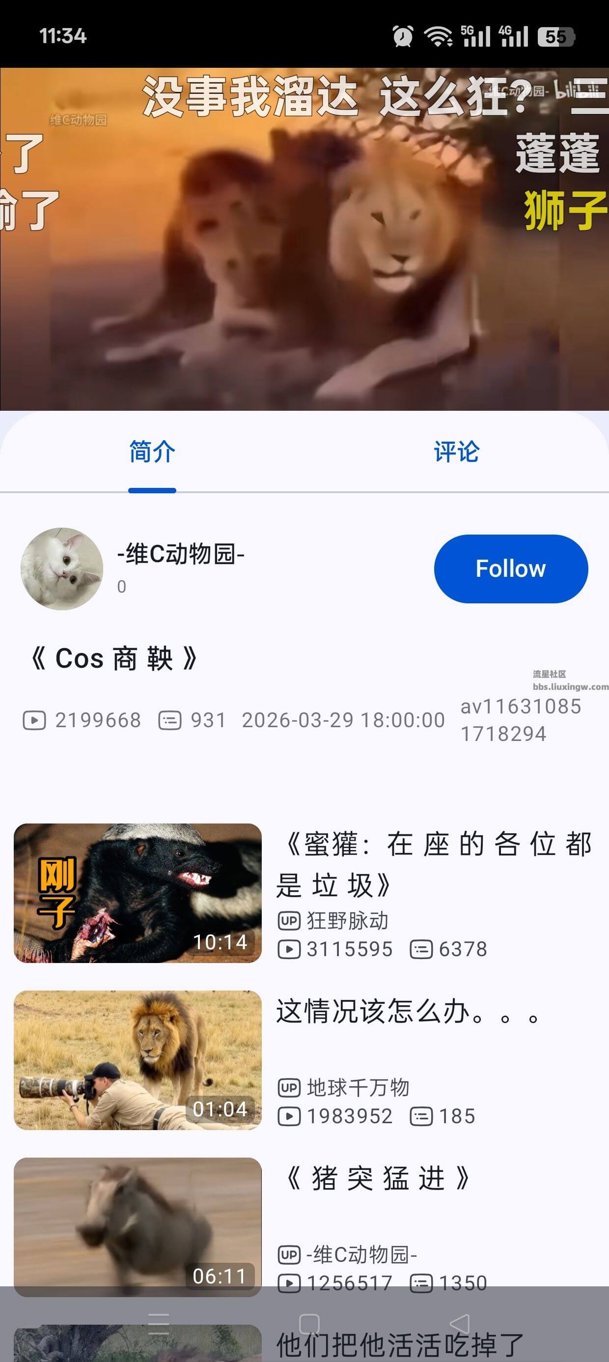 BV v0.3.0，B站完美第三方，支持8k超高清画质