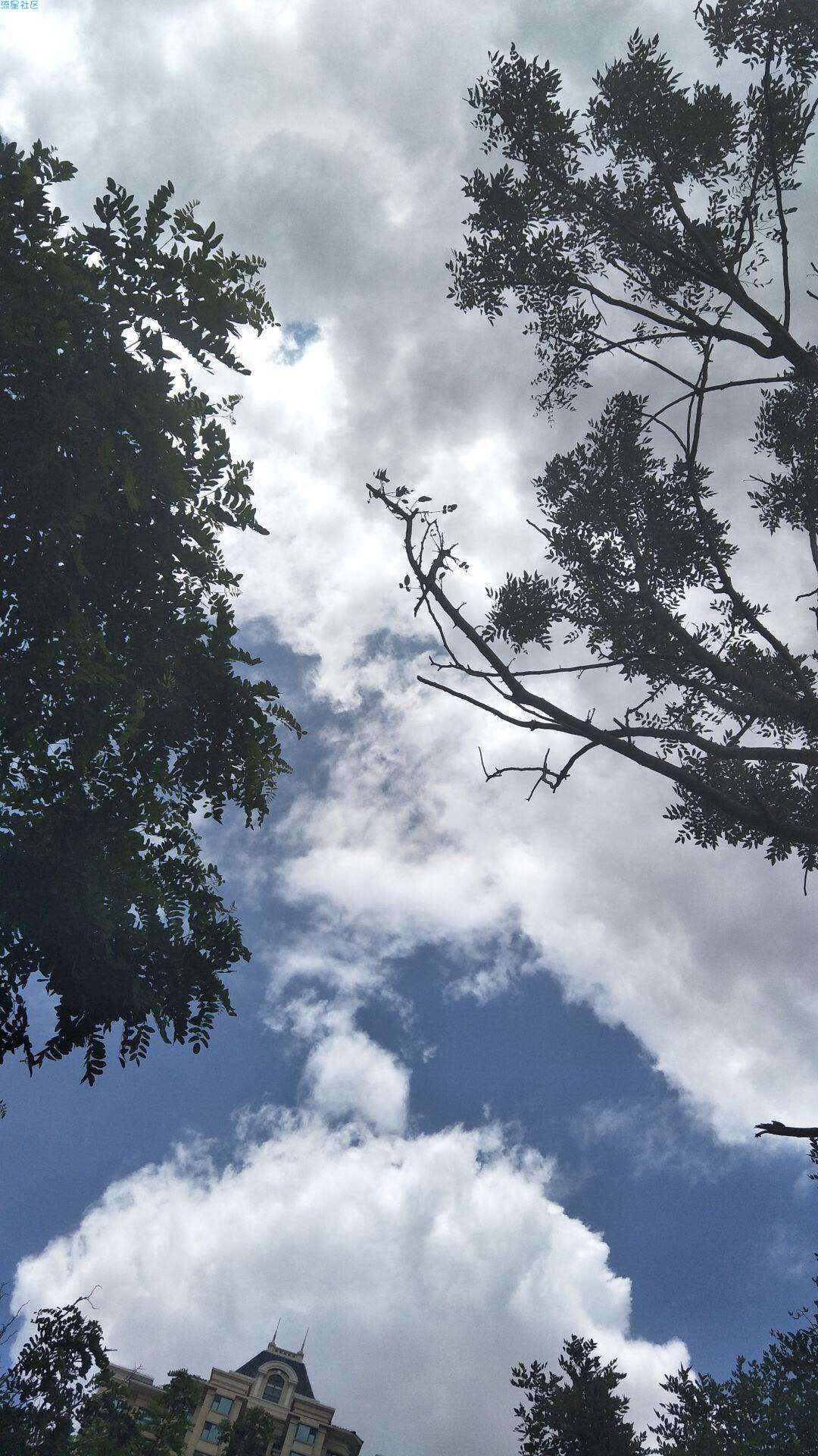青动力模拟跑软件教程
