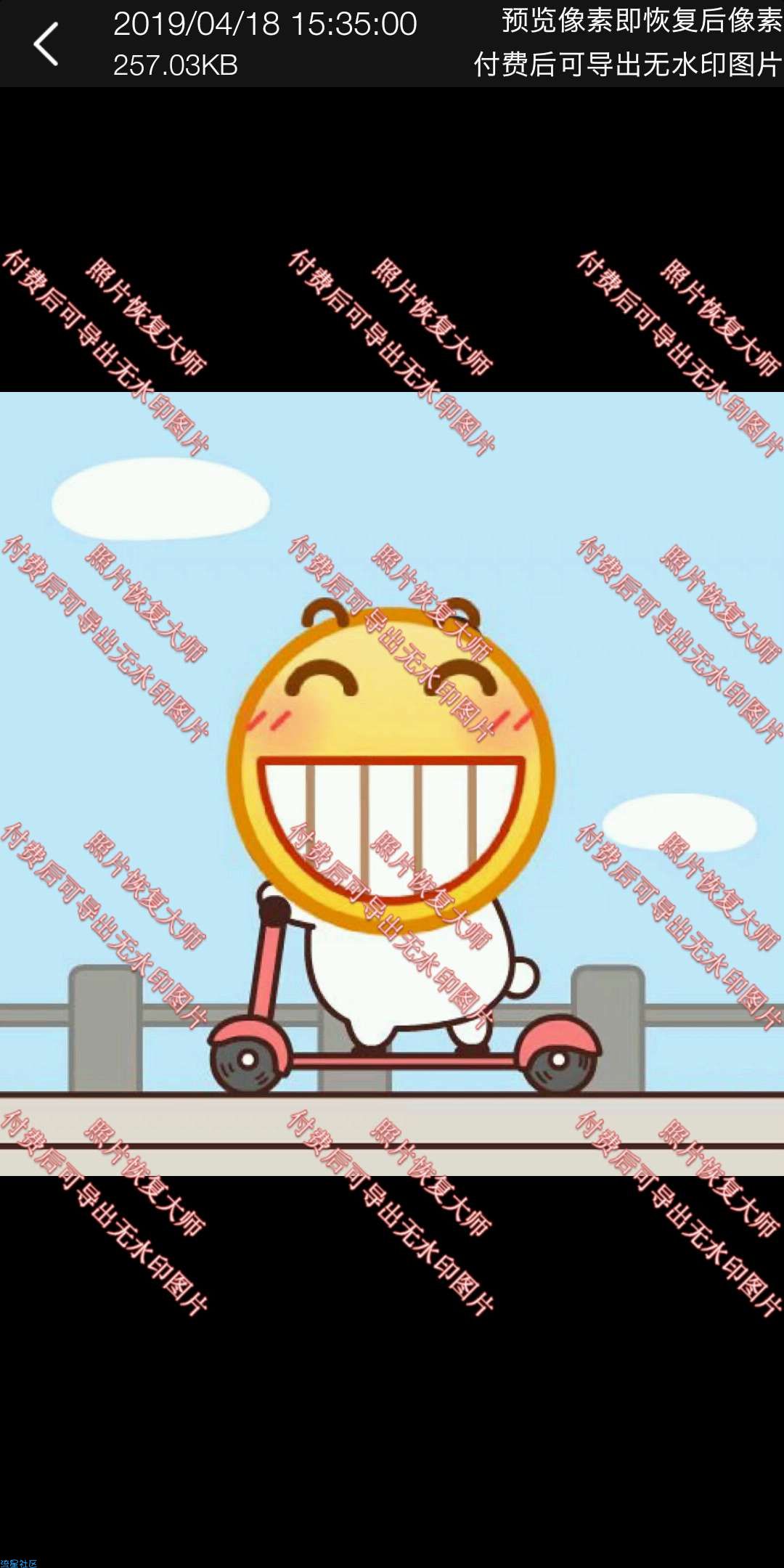【分享】图片恢复大师___一键找回删除的照片，打开即是会员