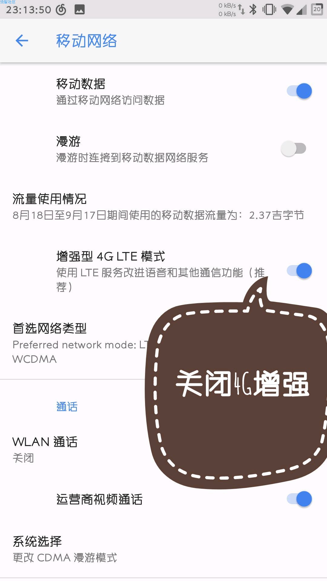 【卷土重来】迷猫深港实习贴