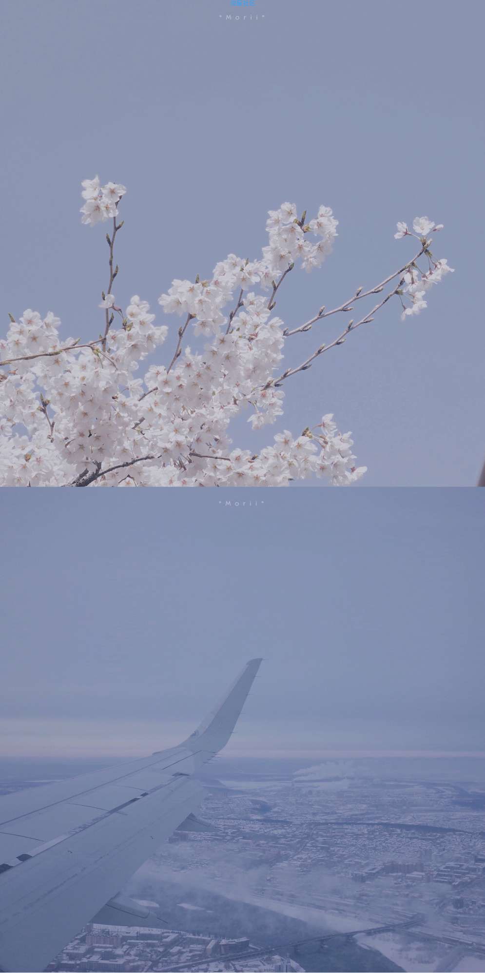今日份壁纸