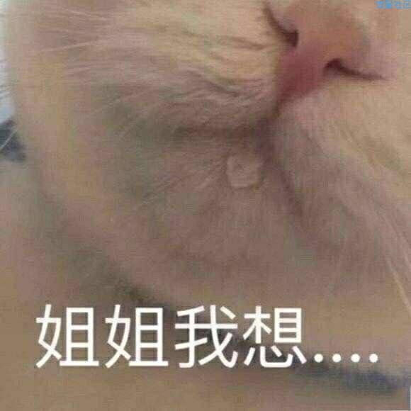 【优秀应用】女生准入___女生版小说追书大全/女频甜宠文/免费无