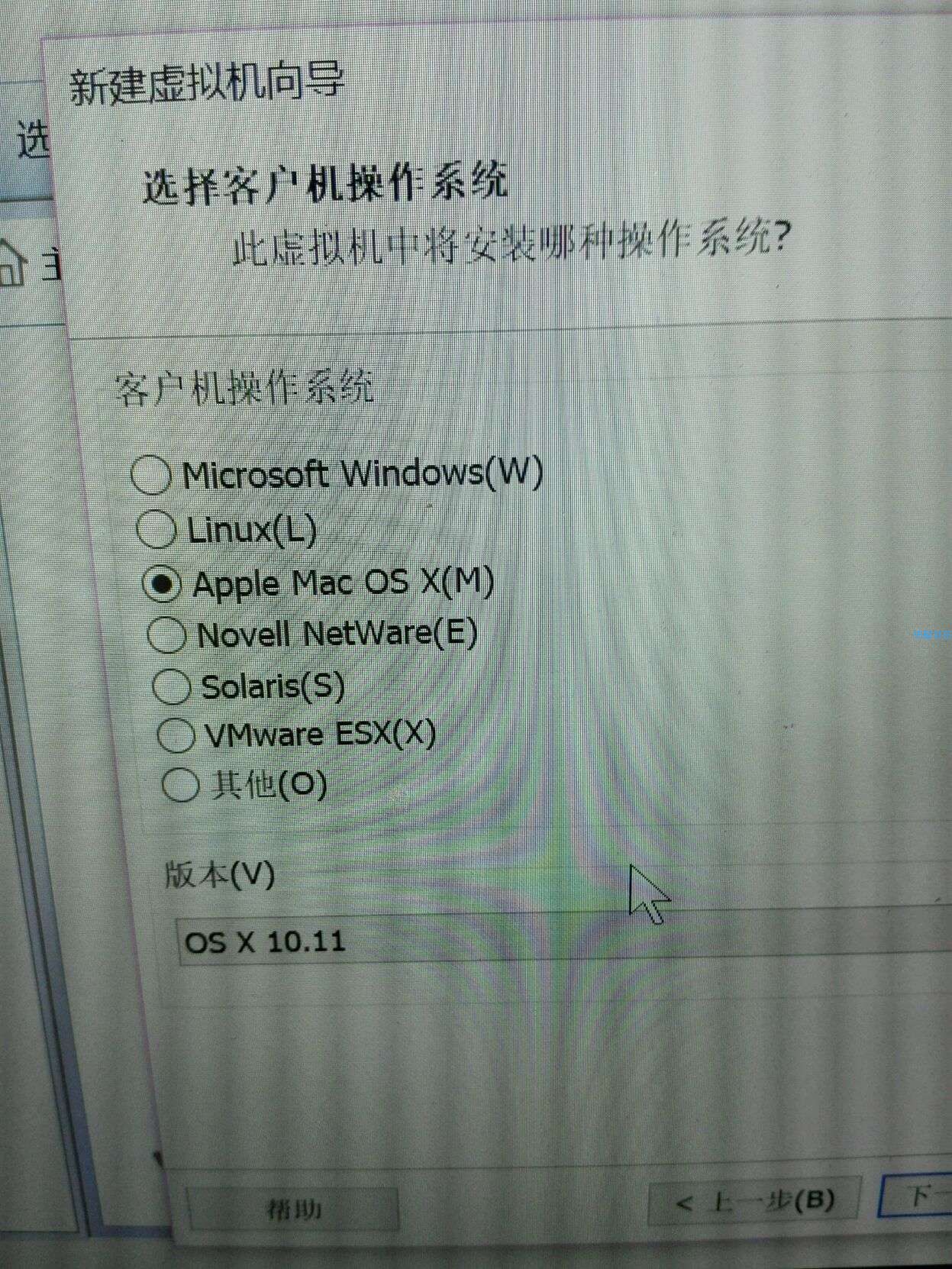 【小白教程】在电脑虚拟机上安装mac