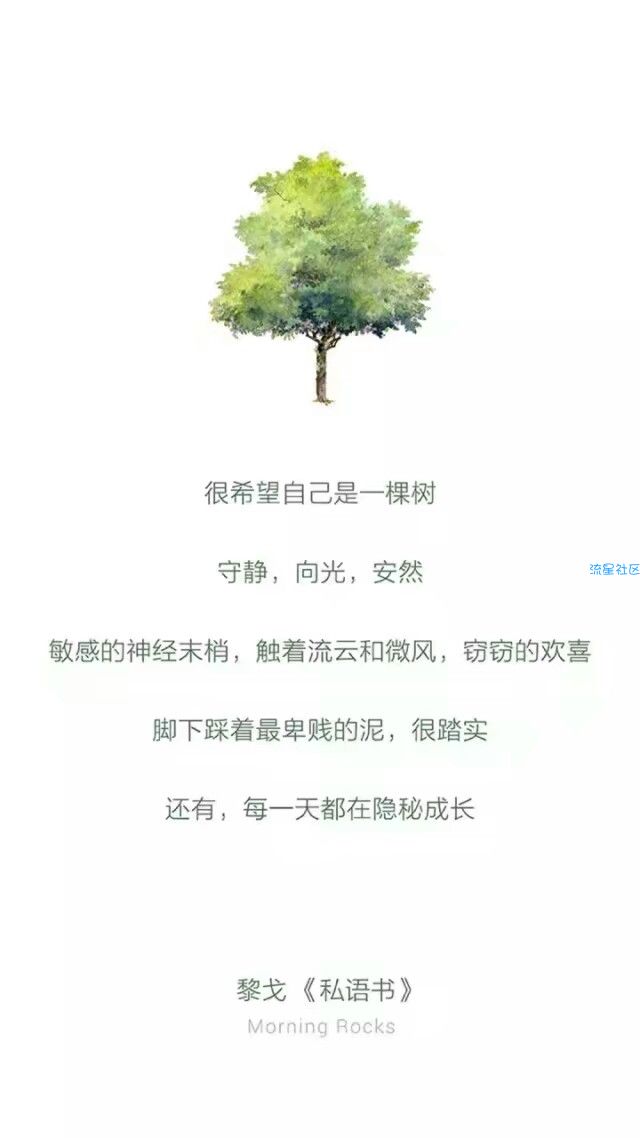 CPU浮动信息汉化版（搬砖，小米论坛）