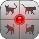 破解版 人猫交流器