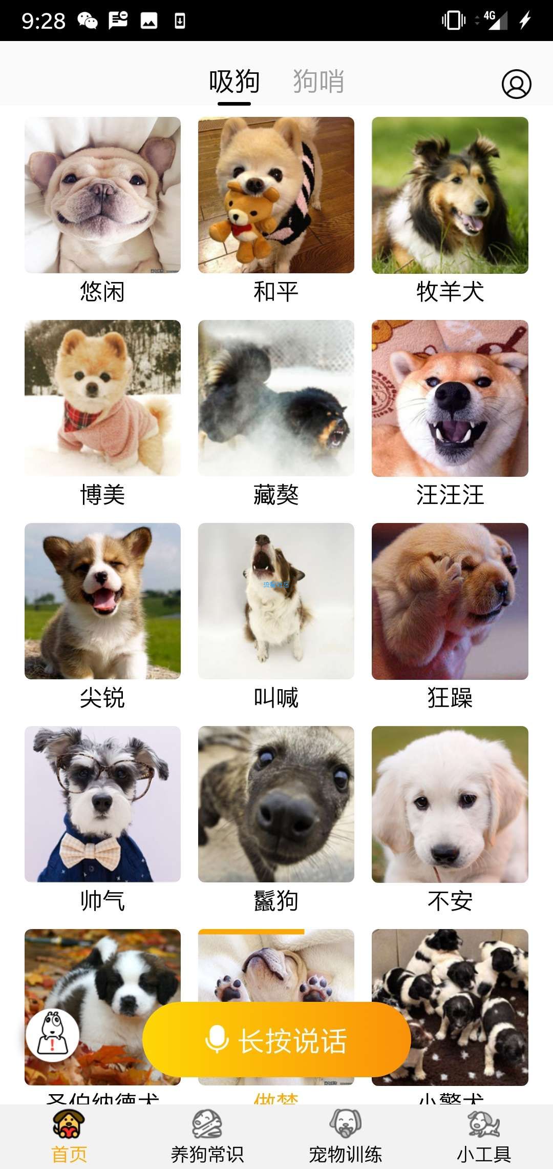 『分享』狗语翻译器v2.0.3