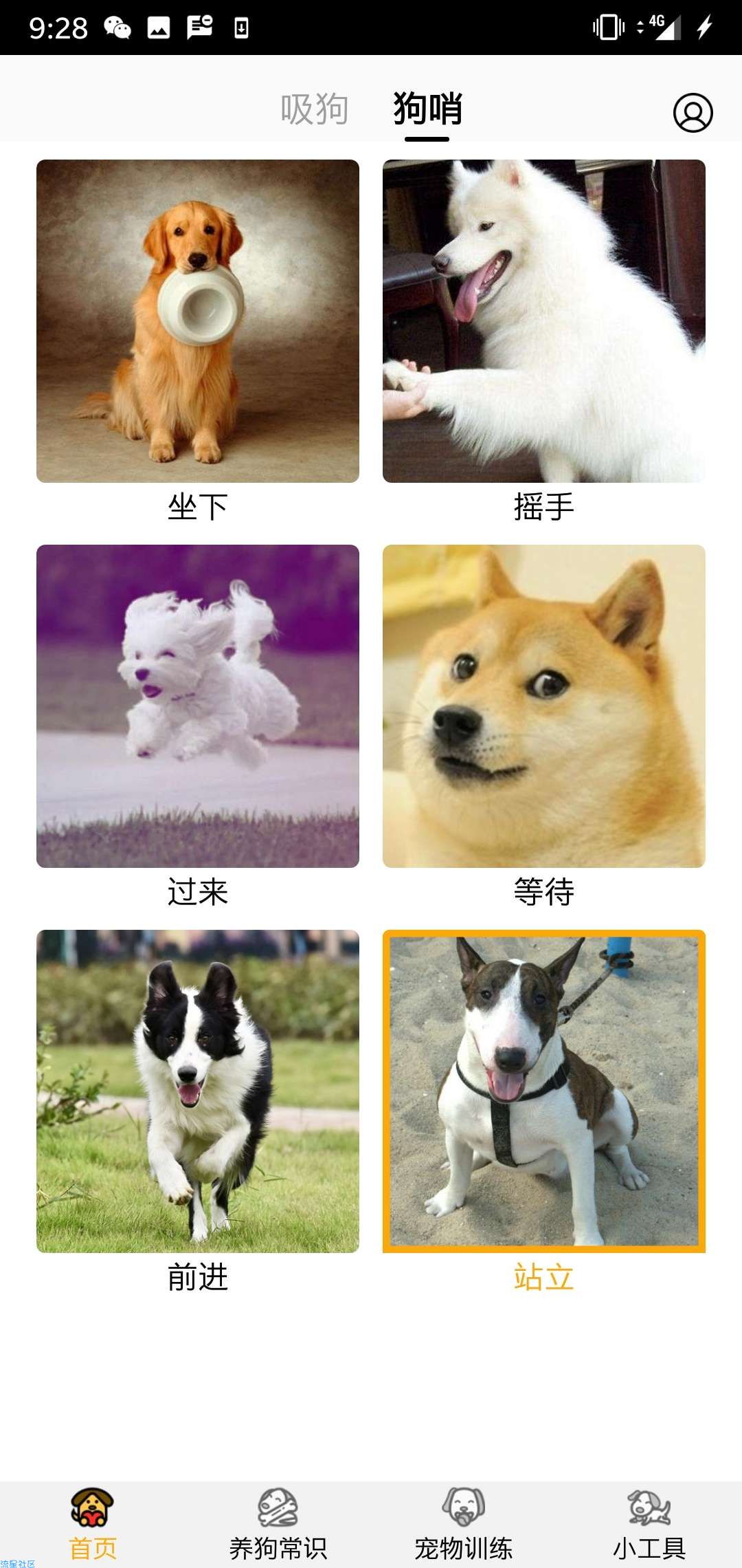 『分享』狗语翻译器v2.0.3