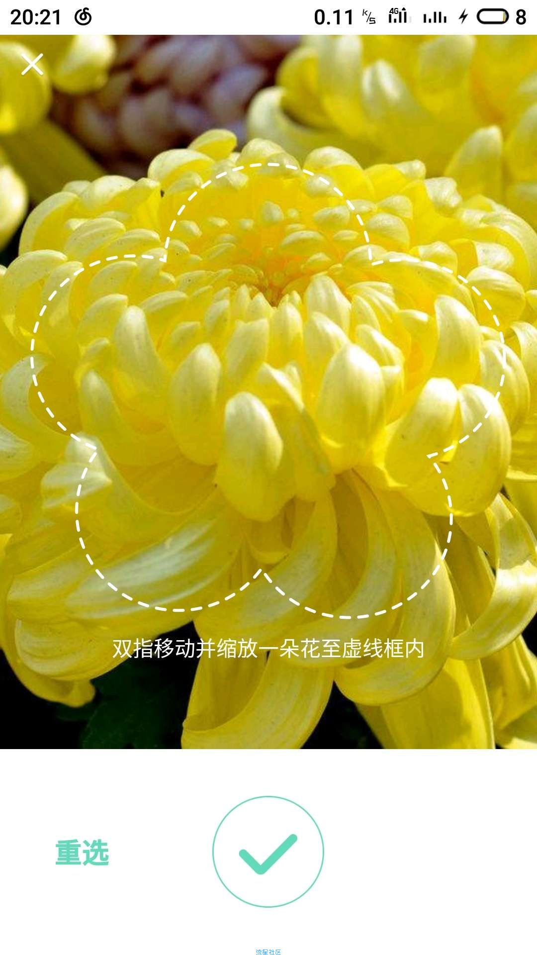 形色3.8.7