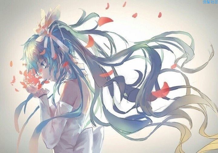 【分享】满满的干货，java教程，小白到入门