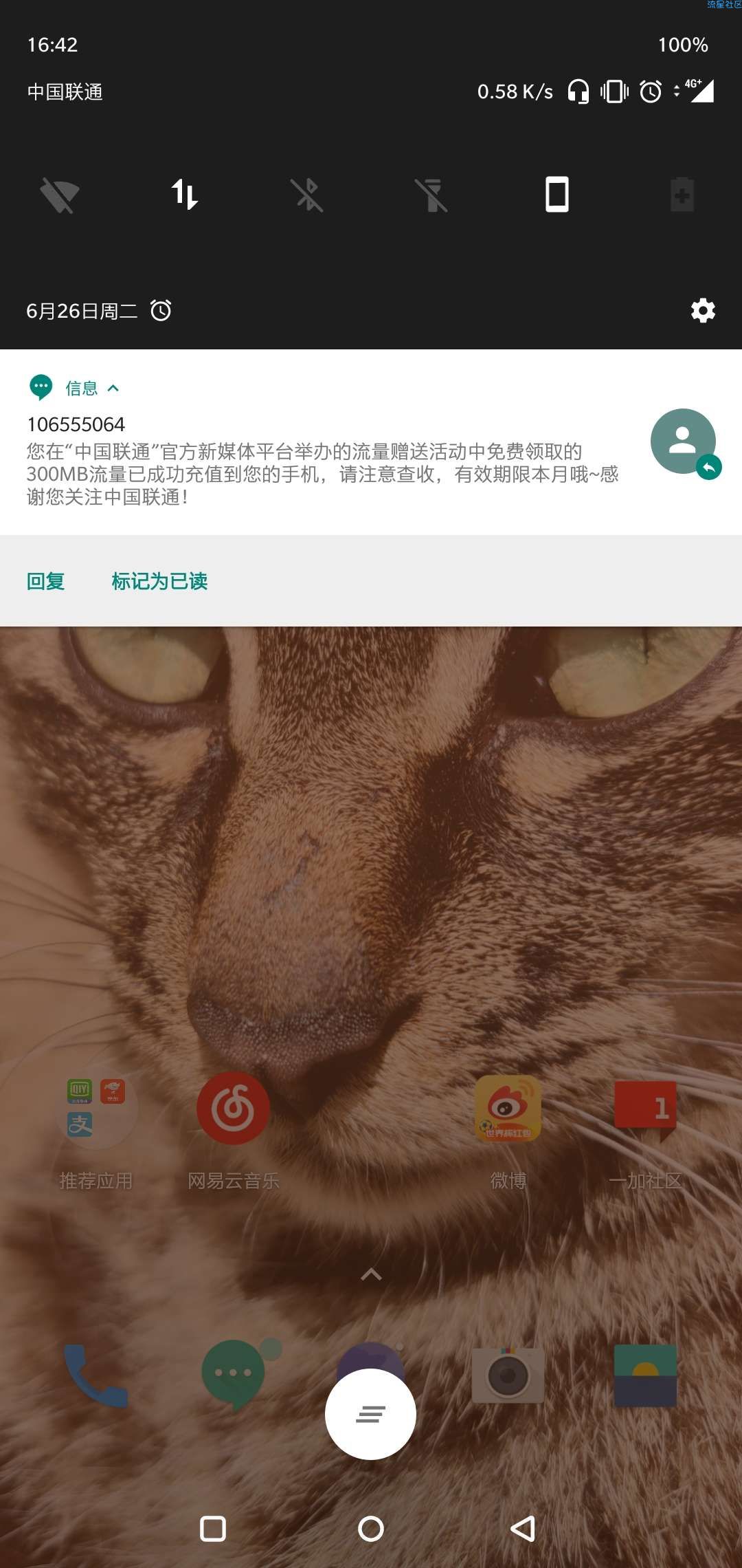 【流量话费】[中国联通300M流量]