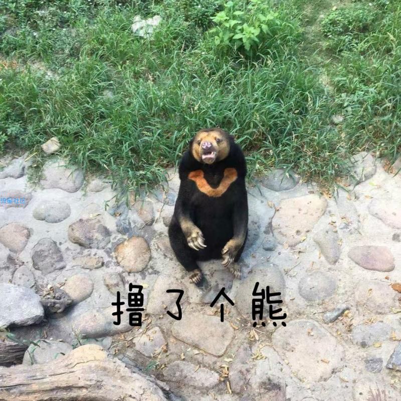 【撸实物】最新最火爆1元唯品会来袭，商品随便挑。