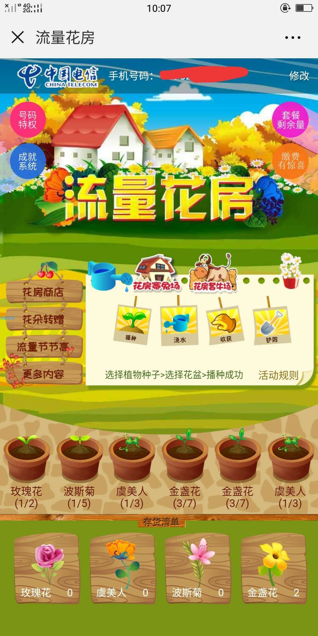 电信流量花房