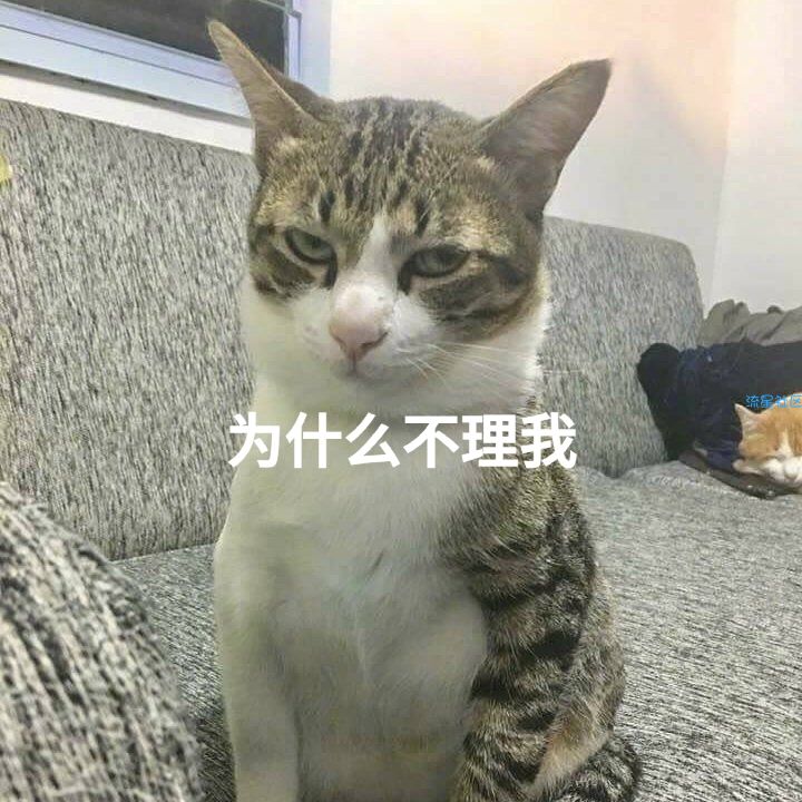 流星里面找破限速的教程没一个成功的！