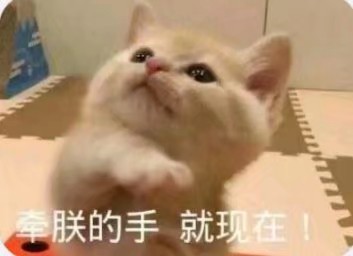 【话费流量】联通流量300M