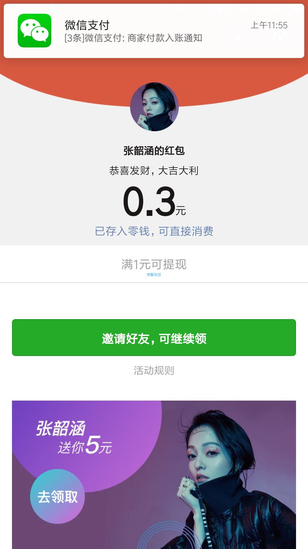 百分之百领蚊子肉