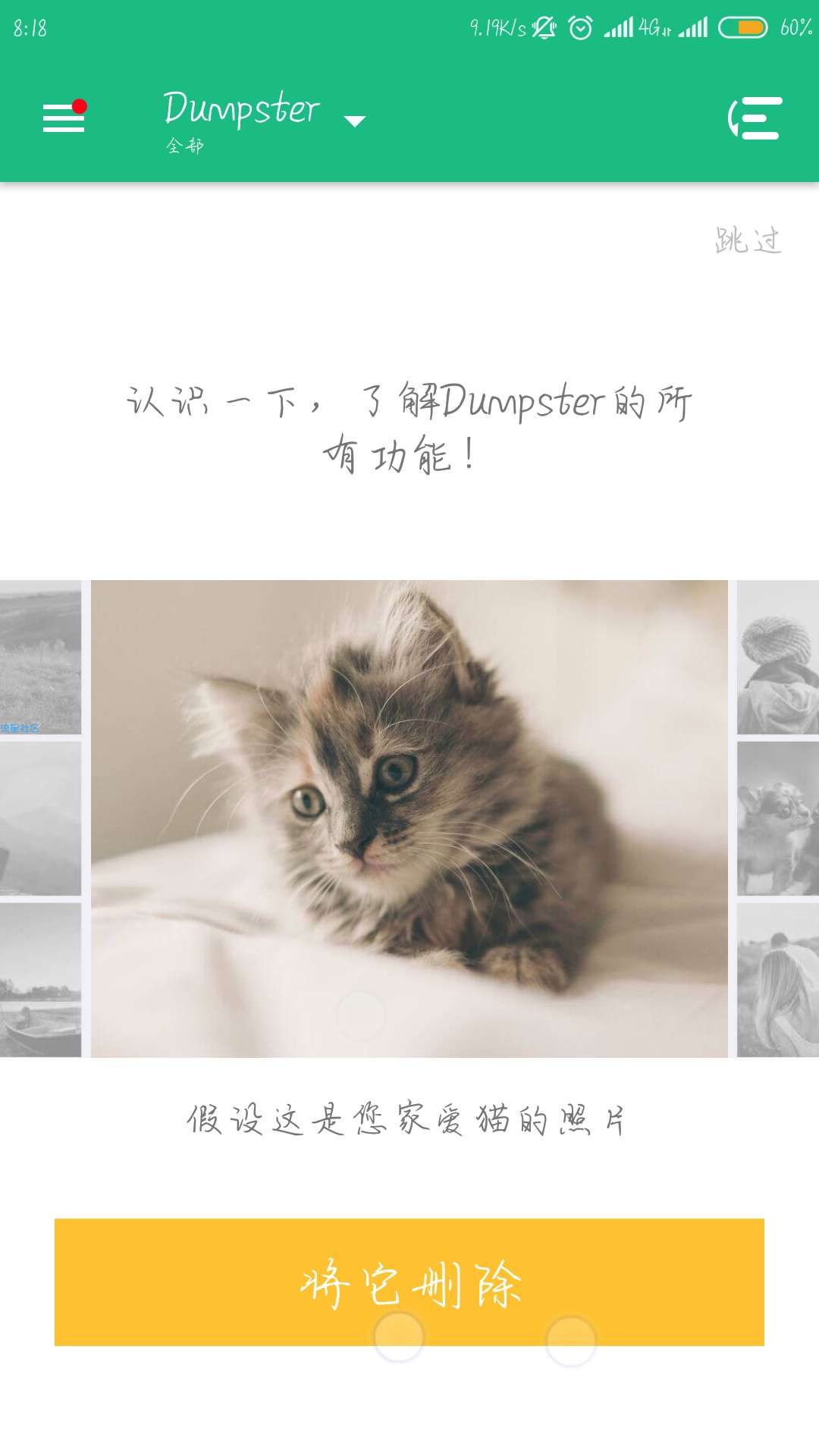 dumpster 版本v2.18.304