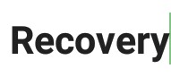 对于Recovery的介绍